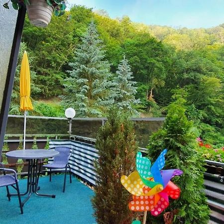 Muehle-Maus Appartement Sankt Goarshausen Buitenkant foto